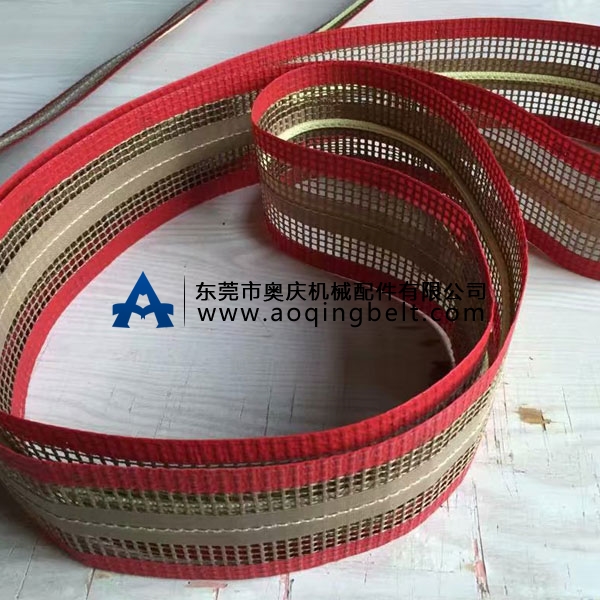 鐵氟龍網(wǎng)帶加防跑偏導條(圖1)